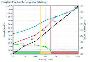 Energiestoffwechsel nachher