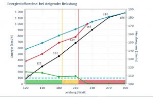 Energiestoffwechsel vorher